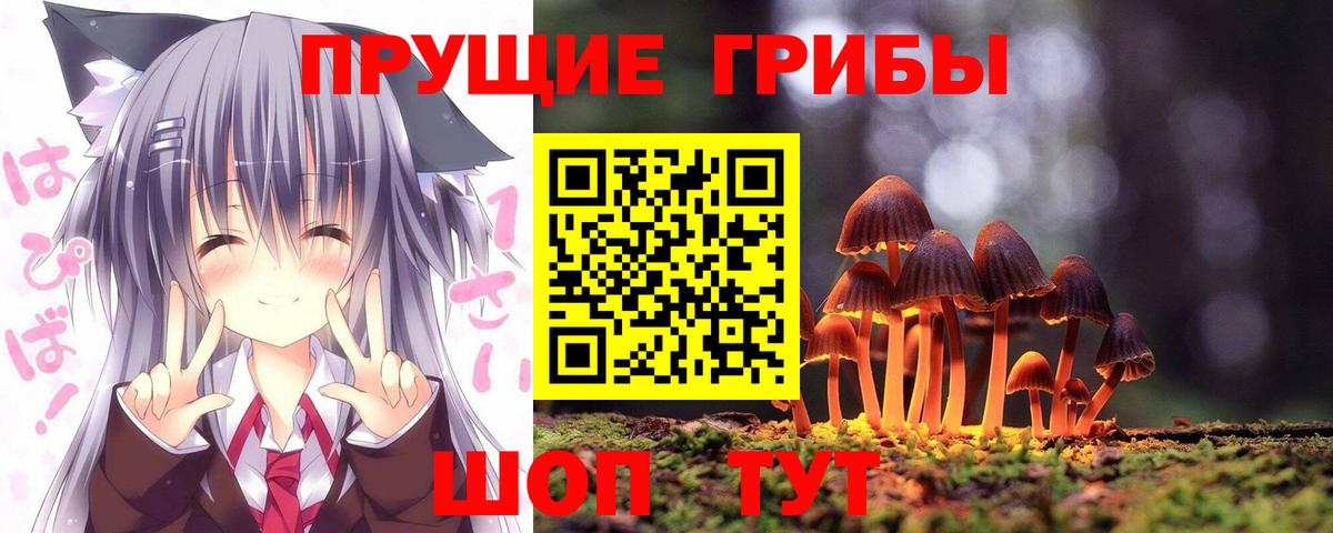 купить закладку  Псилоцибиновые грибы мицелий  Вход с VPN  Чебоксары 