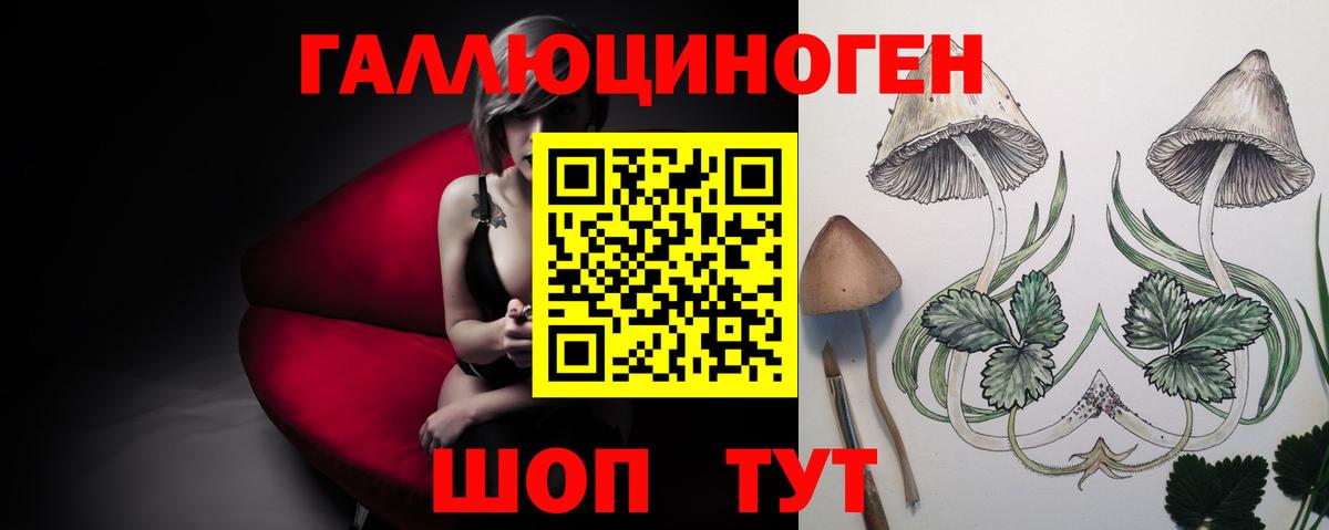 Псилоцибиновые грибы Psilocybe Чебоксары